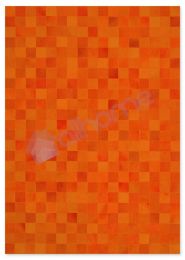 558 skin-rug-Orange list-screen